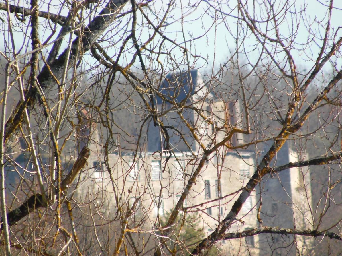 Gite Et Chambres D'Hotes Les Terrasses De Gaumier Gaumiers Dış mekan fotoğraf